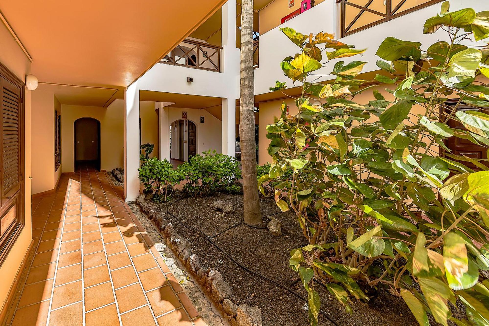 Ocean View Apartment In Albatros Golf Del Sur サンミゲル・デ・アボナ エクステリア 写真
